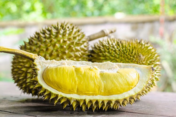 Detail Buku Mimpi Makan Durian Nomer 31