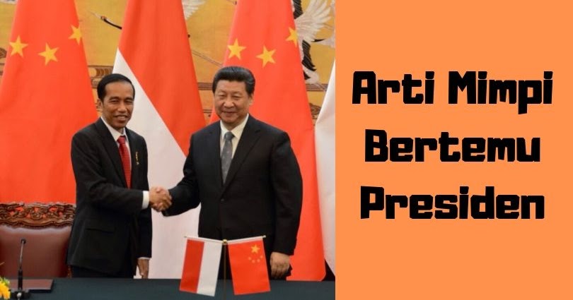 Detail Buku Mimpi Presiden Nomer 17