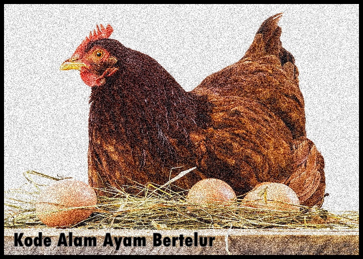 Detail Buku Mimpi Telur Ayam Nomer 23