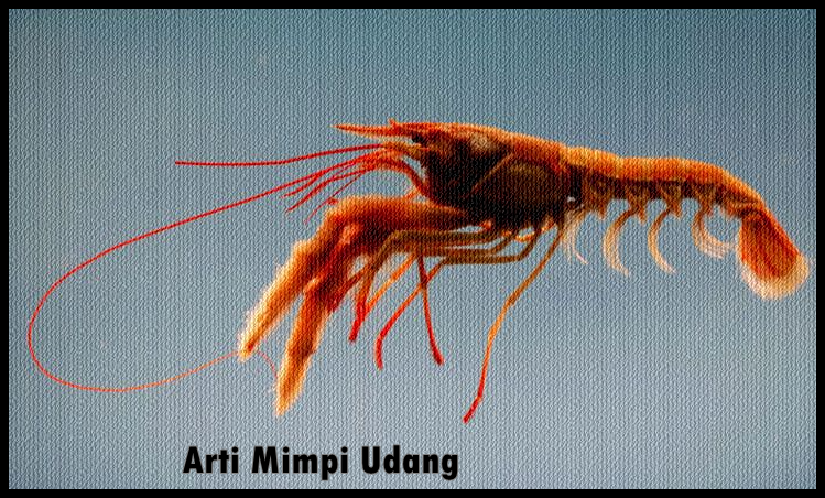 Detail Buku Mimpi Udang Nomer 14