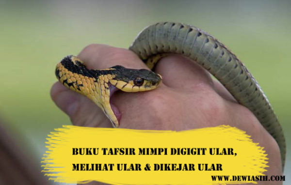 Detail Buku Mimpi Ular Masuk Rumah Nomer 46