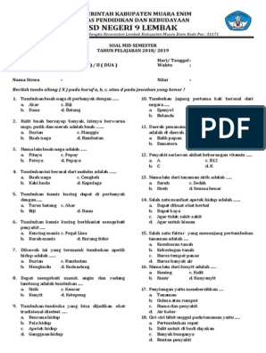 Detail Buku Mulok Kelas 5 Sd Nomer 22