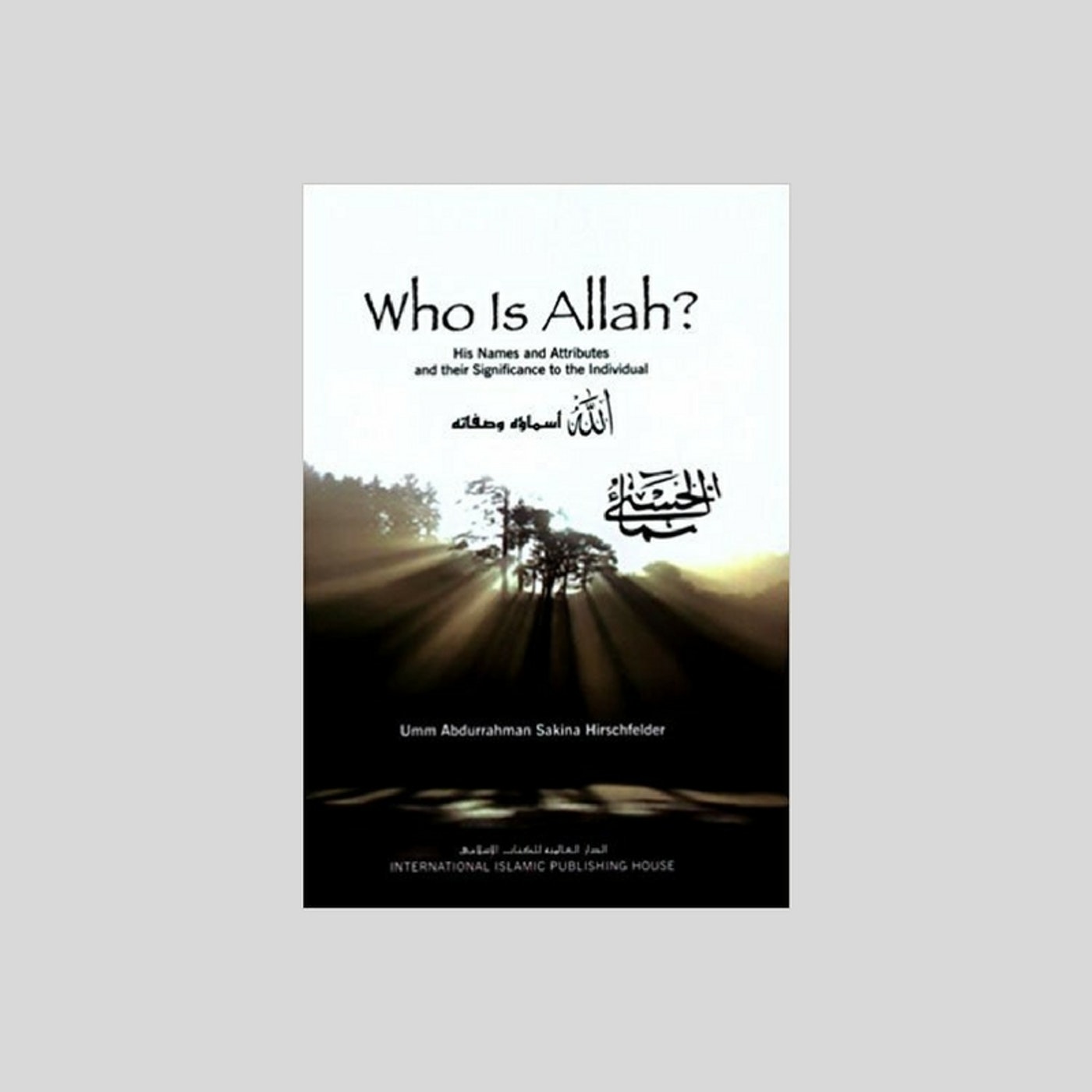 Detail Buku Novel Islami Terbaru 2018 Nomer 23