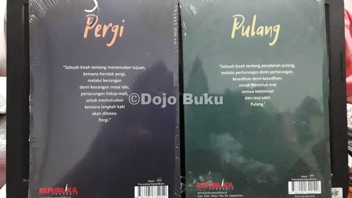 Detail Buku Novel Pulang Nomer 29