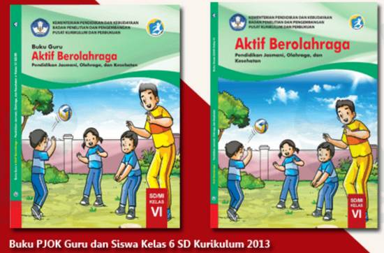 Detail Buku Olahraga Kelas 6 Nomer 14