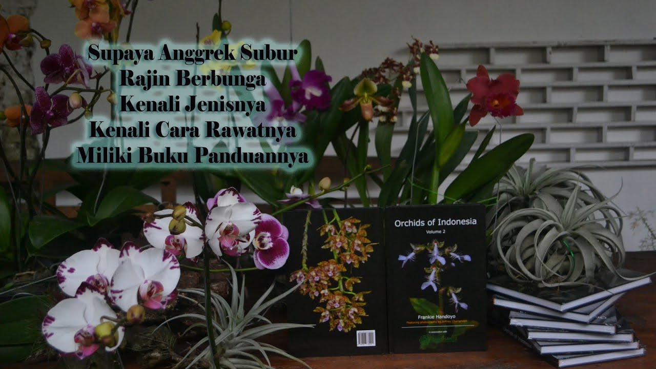 Detail Buku Orchid Of Indonesia Nomer 17