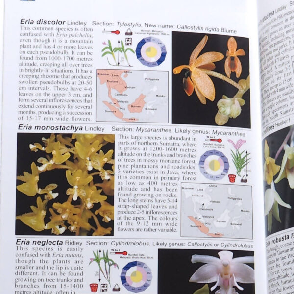 Detail Buku Orchid Of Indonesia Nomer 41