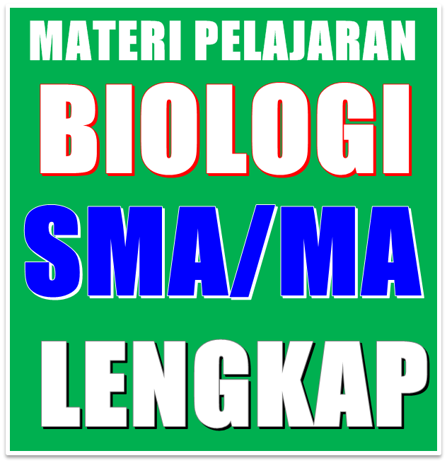 Detail Buku Paket Biologi Kelas 12 Kurikulum 2013 Nomer 23