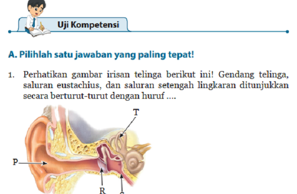 Detail Buku Paket Ipa Kelas 8 Semester 2 Nomer 37