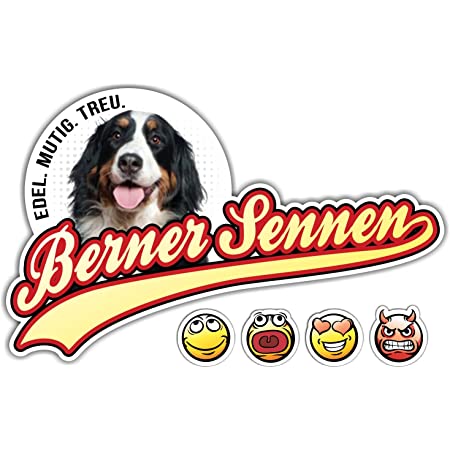 Download Berner Sennenhund 1 Jahr Nomer 15