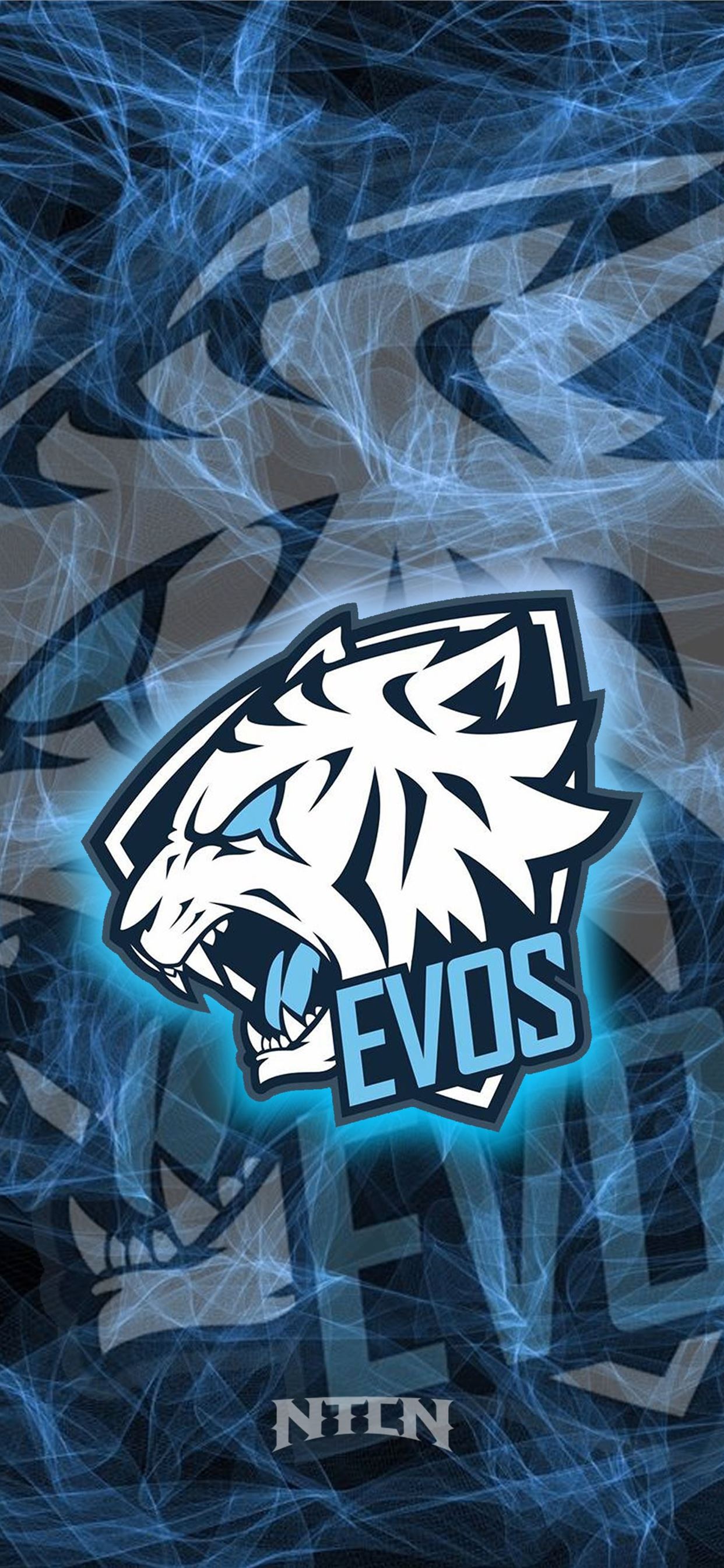 Detail Download Logo Evos Nomer 14