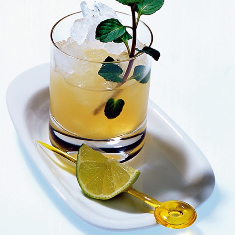 Detail Mojito Eistee Nomer 18