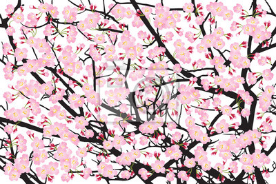 Detail Sakura Baum Anime Nomer 14