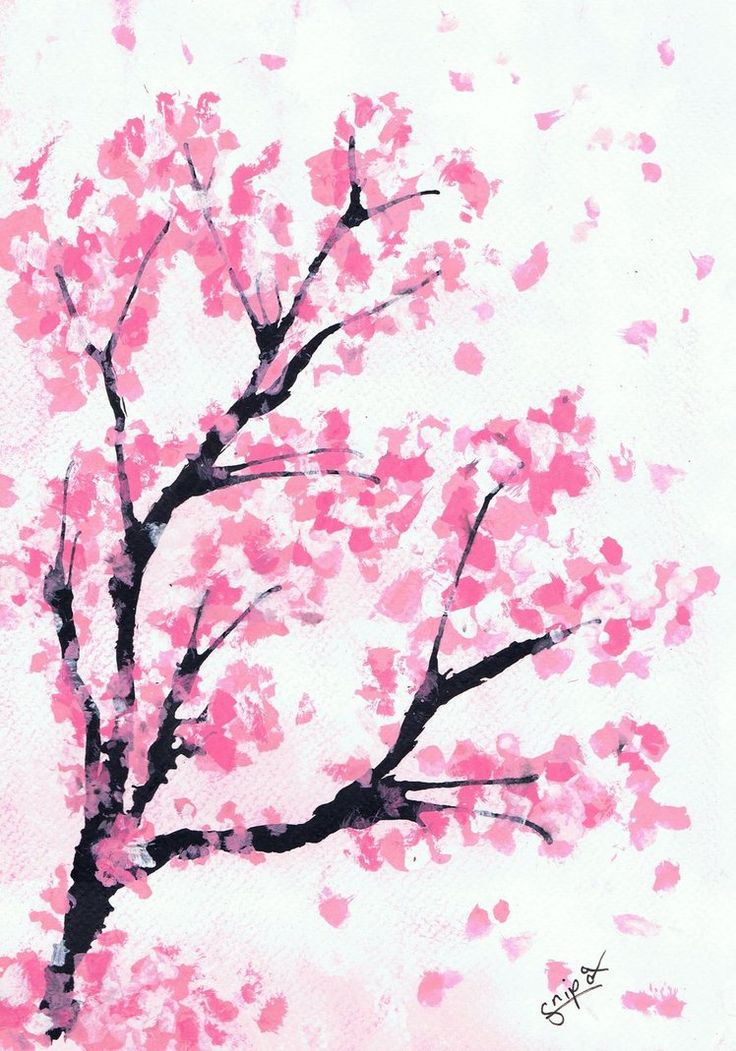 Detail Sakura Baum Anime Nomer 9