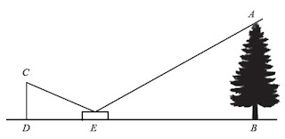 Detail Buku Paket Matematika Kelas 9 Nomer 55