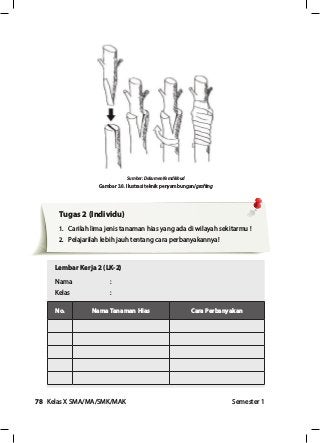 Detail Buku Paket Pkwu Kelas 10 Semester 2 Nomer 35
