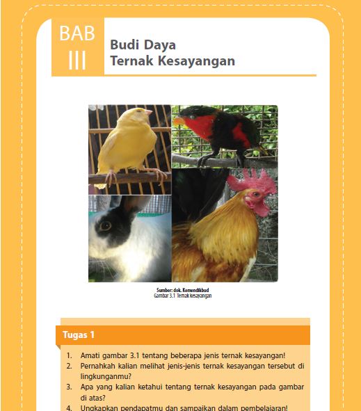 Detail Buku Paket Prakarya Kelas 8 Nomer 36