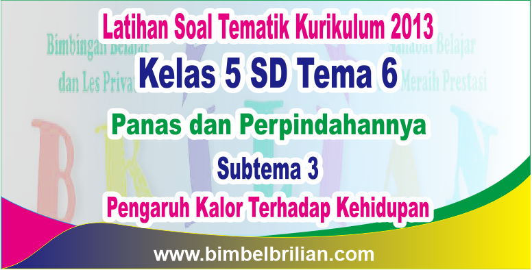 Detail Buku Paket Tema 6 Kelas 5 Nomer 42