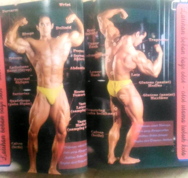 Detail Buku Panduan Fitnes Nomer 37