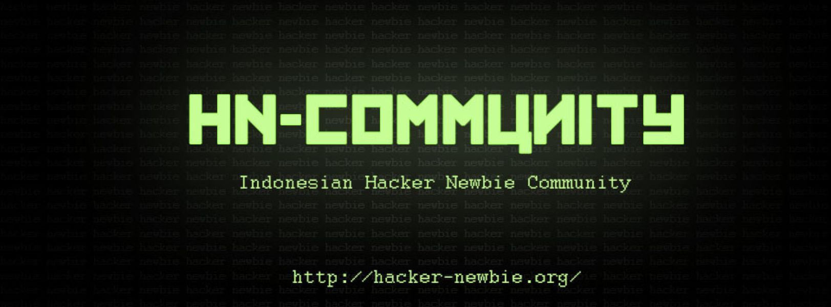Detail Buku Panduan Hacker Bahasa Indonesia Nomer 46