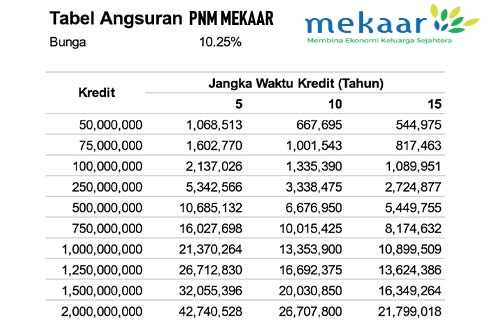 Detail Buku Panduan Pnm Mekaar Nomer 11