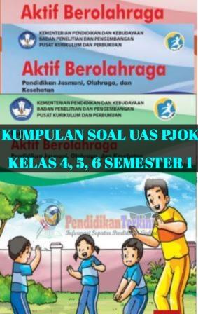 Detail Buku Pendidikan Jasmani Olahraga Dan Kesehatan Kelas 4 Kurikulum 2013 Nomer 22