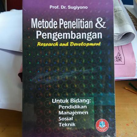 Detail Buku Penelitian Dan Pengembangan Nomer 2