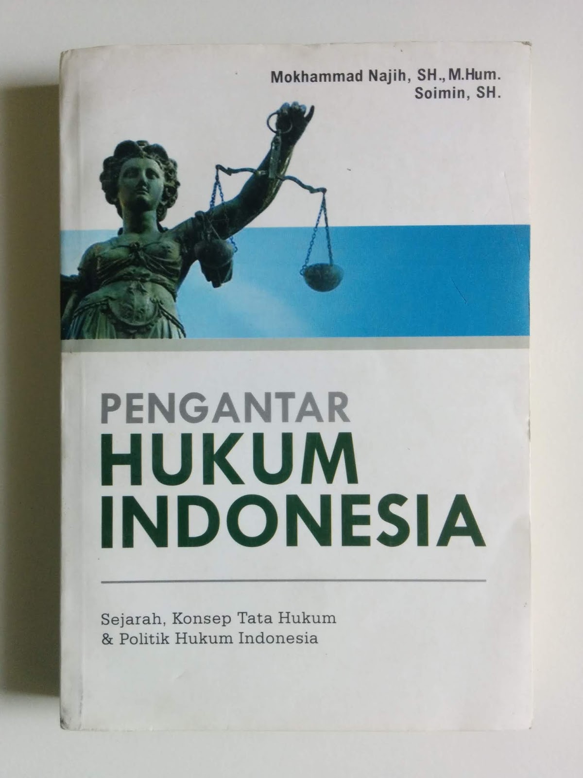 Detail Buku Pengantar Hukum Indonesia Nomer 19