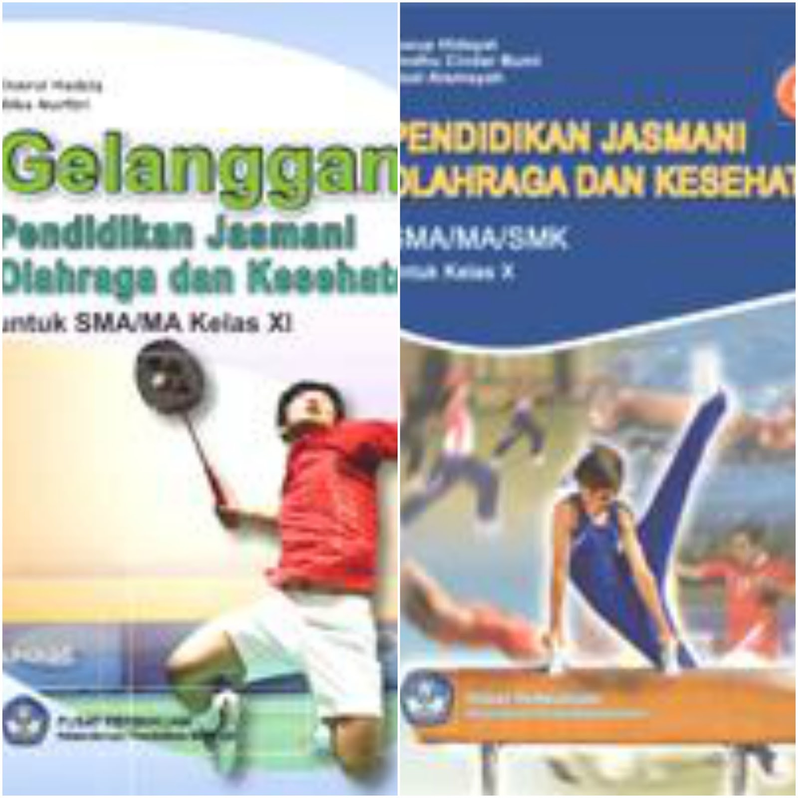 Detail Buku Penjas Kelas 10 Nomer 46