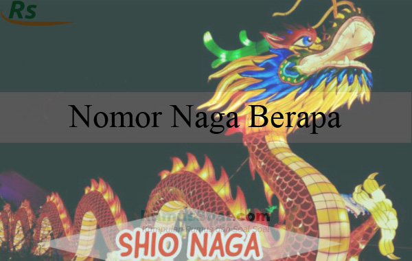 Detail Buku Perempuan Dan Naga Nomer 37