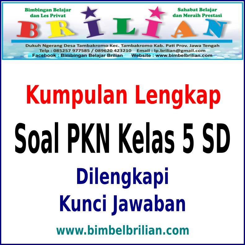 Detail Buku Pkn Kelas 2 Sd Nomer 52