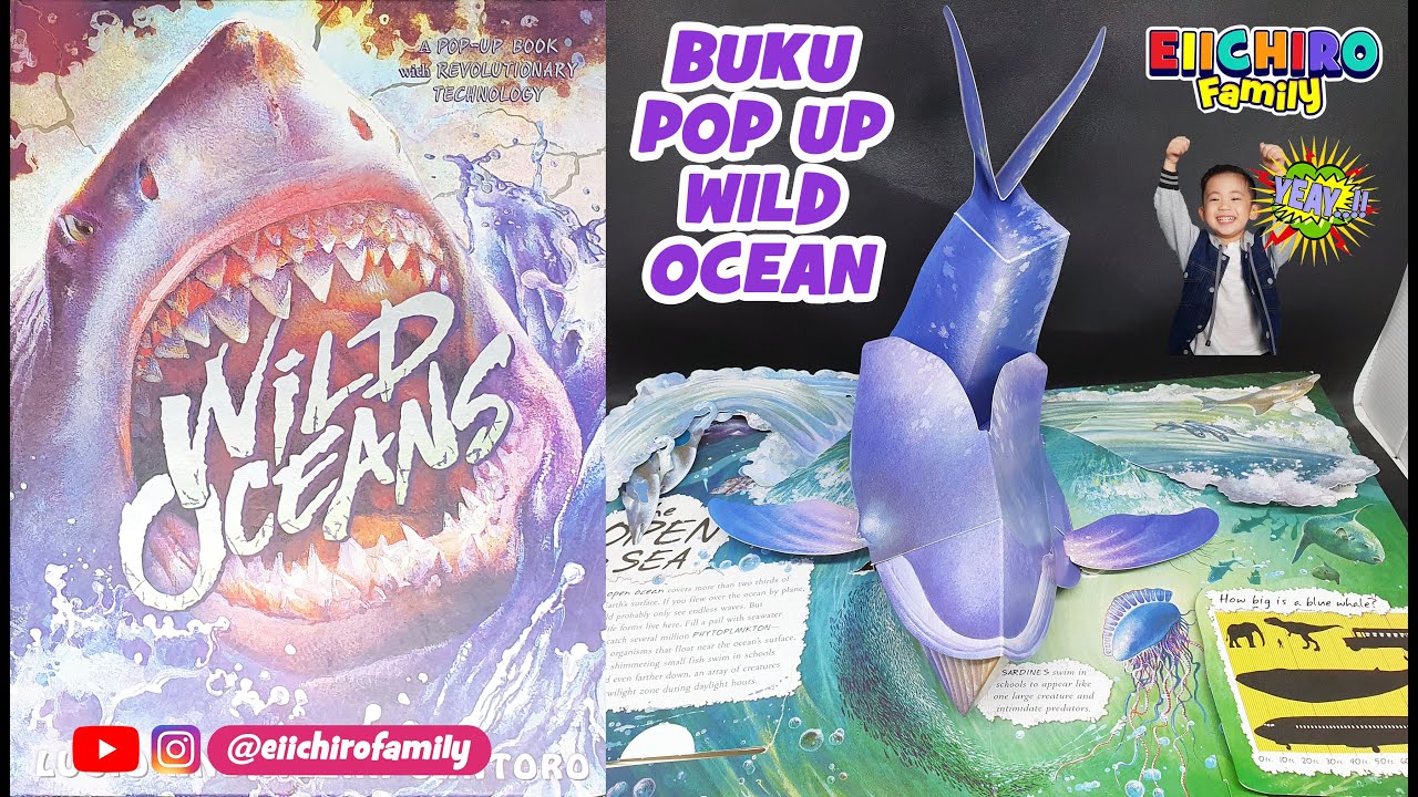 Detail Buku Pop Up Hewan Laut Nomer 3