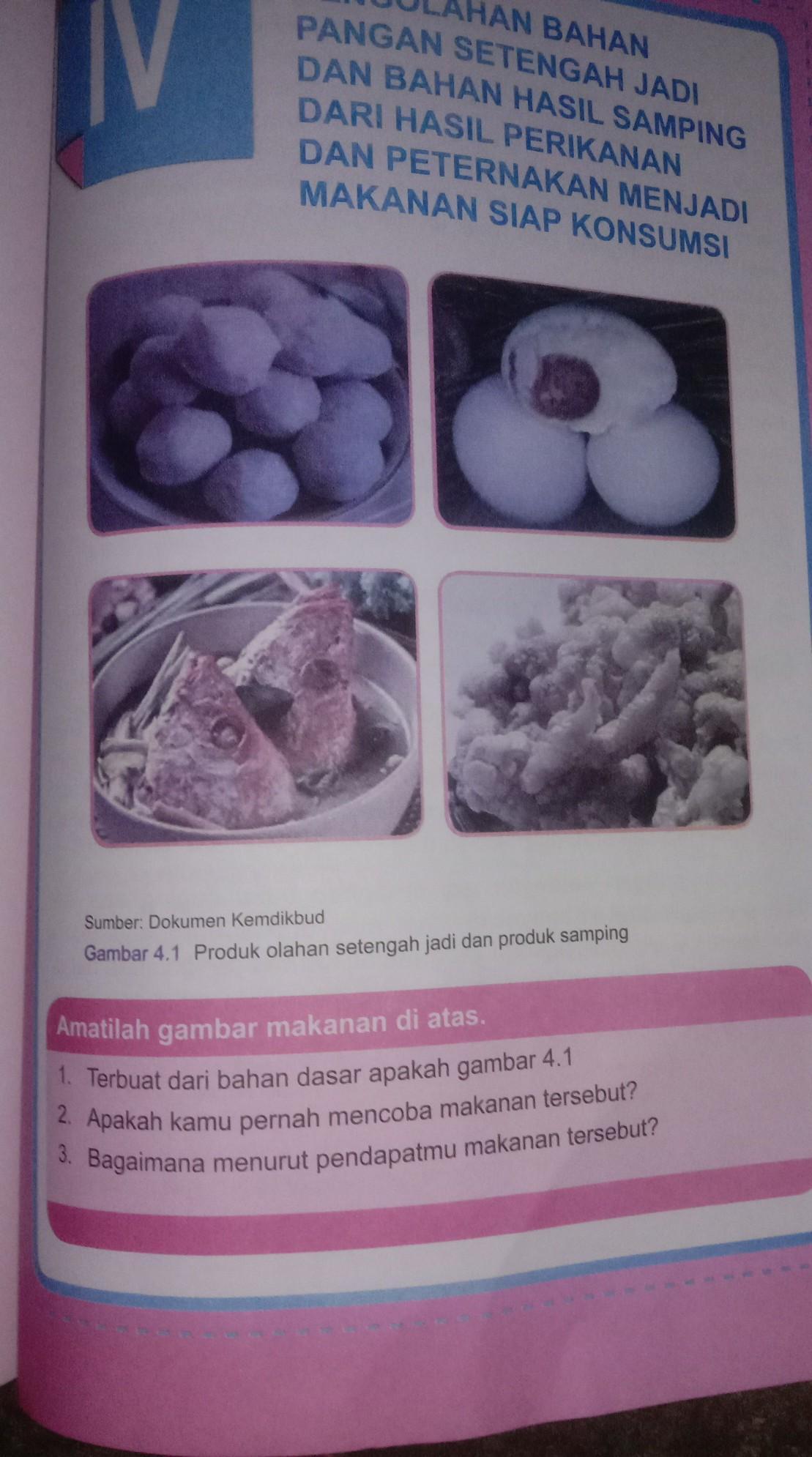 Detail Buku Prakarya Semester 2 Kelas 9 Nomer 11