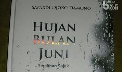 Detail Buku Puisi Cinta Nomer 18