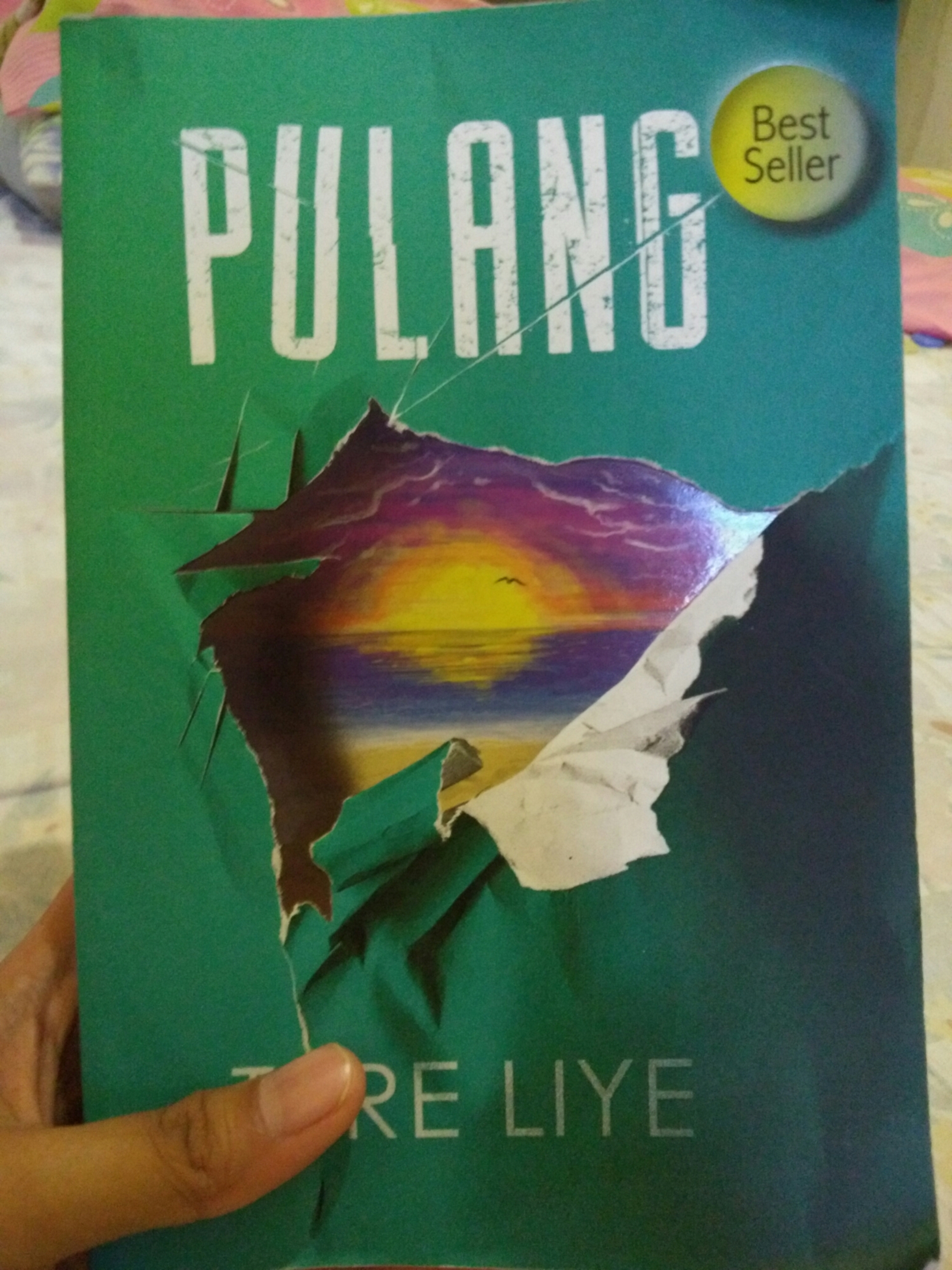 Detail Buku Pulang Tere Liye Nomer 14