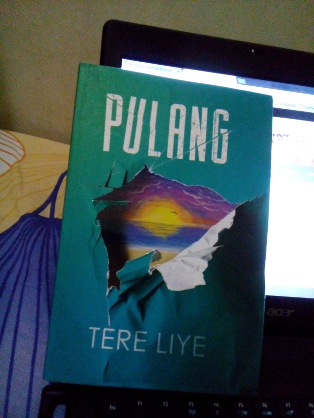 Detail Buku Pulang Tere Liye Nomer 19