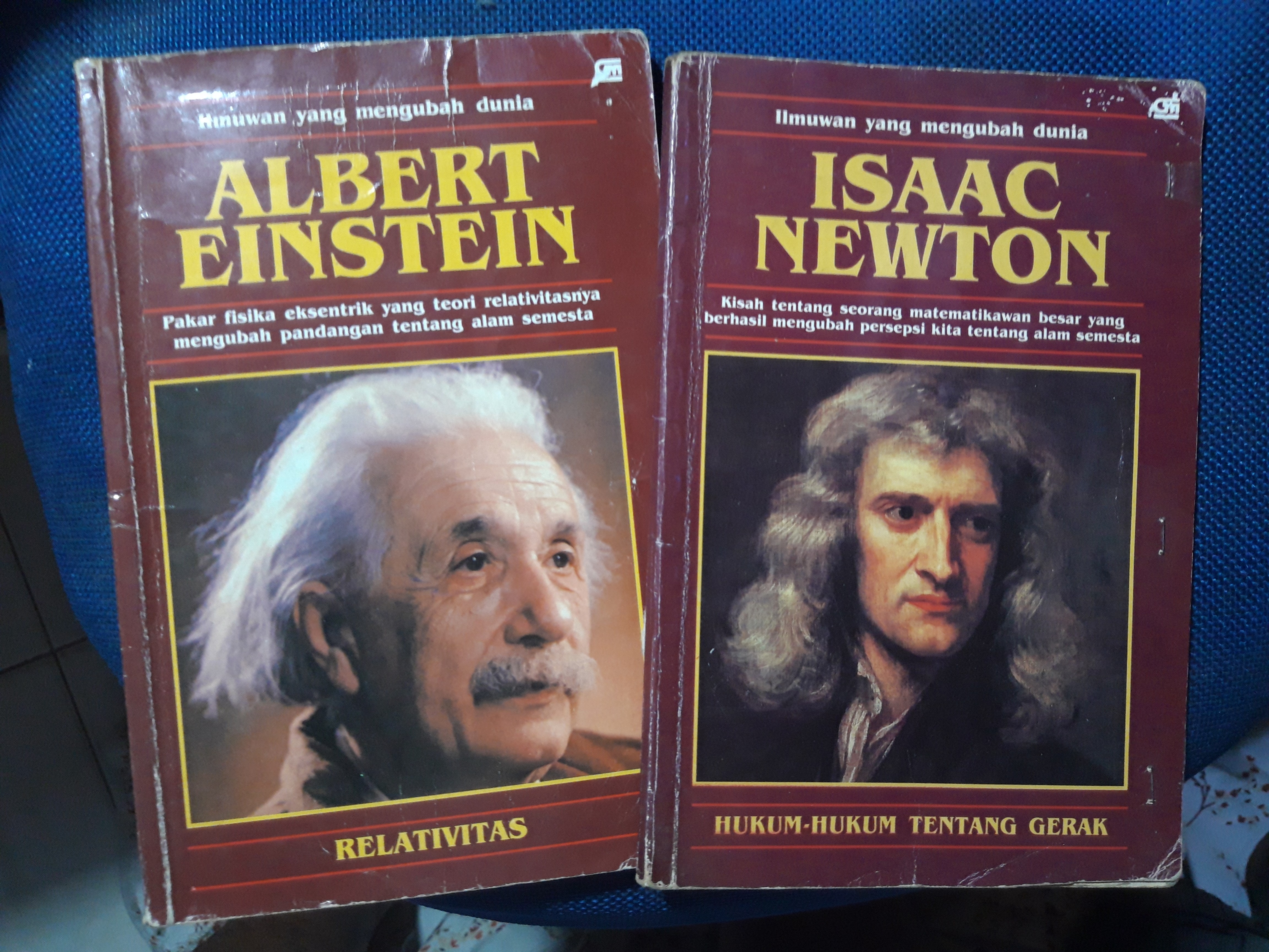 Detail Buku Relativitas Einstein Nomer 50