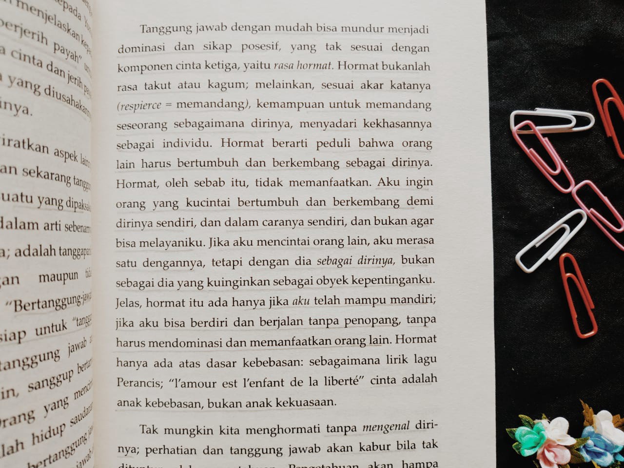 Detail Buku Seni Mencintai Nomer 12