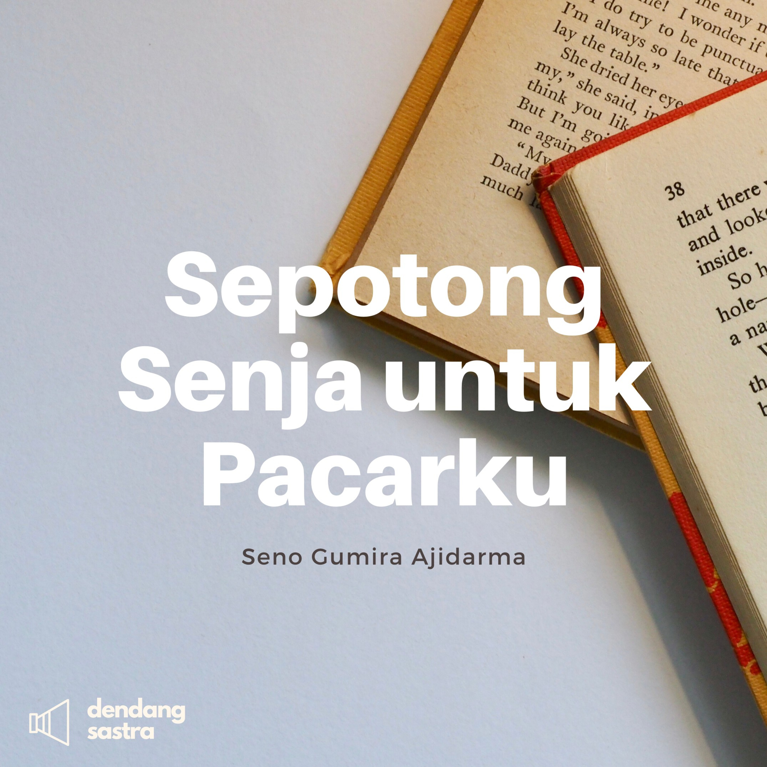 Detail Buku Sepotong Senja Untuk Pacarku Nomer 51