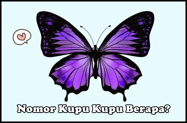 Detail Buku Seribu Mimpi Kupu Kupu Nomer 5