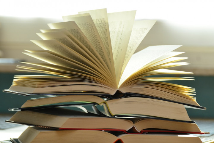 Detail Buku Simak Ui 2020 Nomer 42