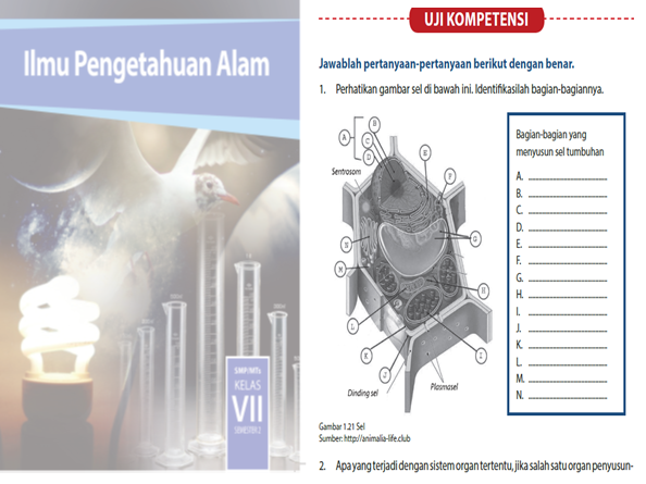 Detail Buku Siswa Ipa Kelas 7 Nomer 42