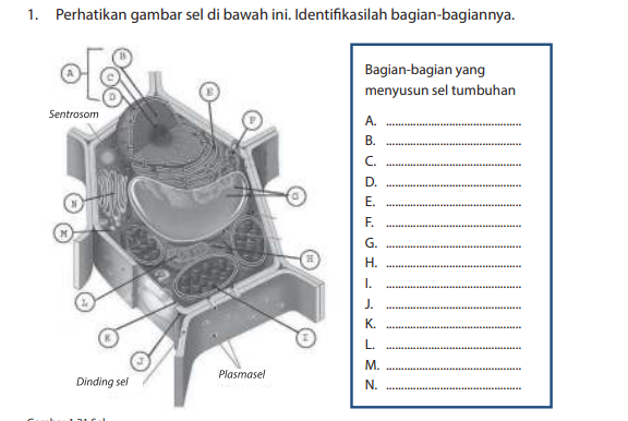 Detail Buku Siswa Ipa Kelas 7 Kurikulum 2013 Semester 2 Nomer 13