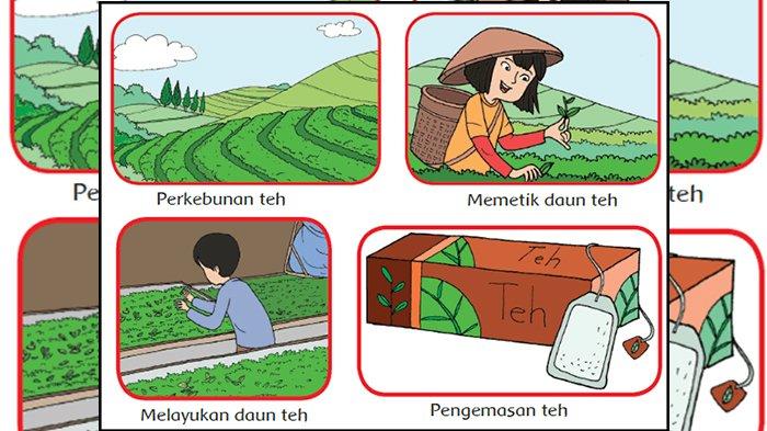 Detail Buku Siswa Tema 4 Kelas 4 Nomer 44