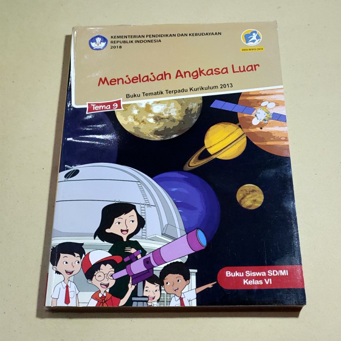 Detail Buku Siswa Tema 9 Kelas 6 Nomer 14