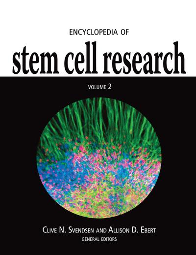 Detail Buku Stem Cell Nomer 43