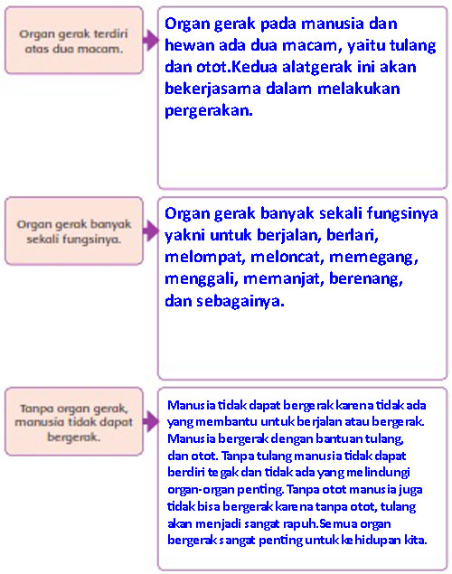 Detail Buku Tema 1 Kelas 5 Organ Gerak Hewan Dan Manusia Nomer 26