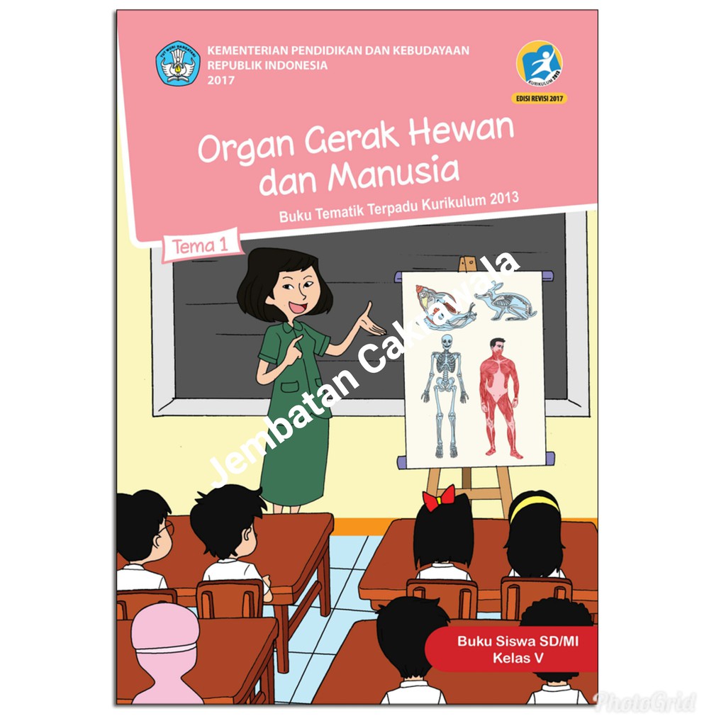 Detail Buku Tema 1 Kelas 5 Organ Gerak Hewan Dan Manusia Nomer 52