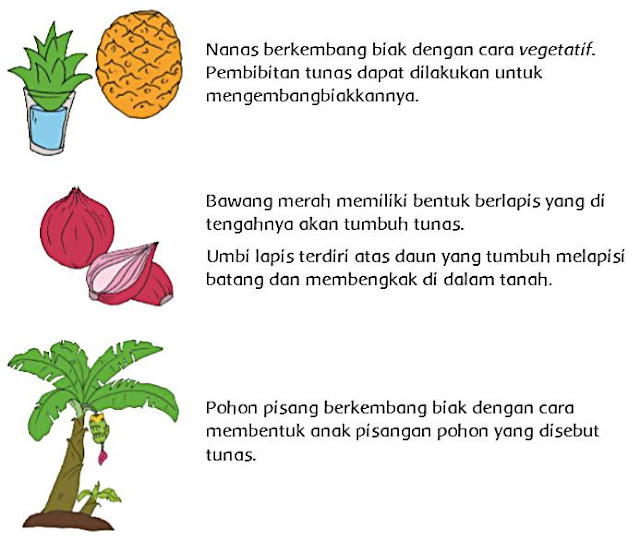 Detail Buku Tema 1 Kelas 6 Nomer 48