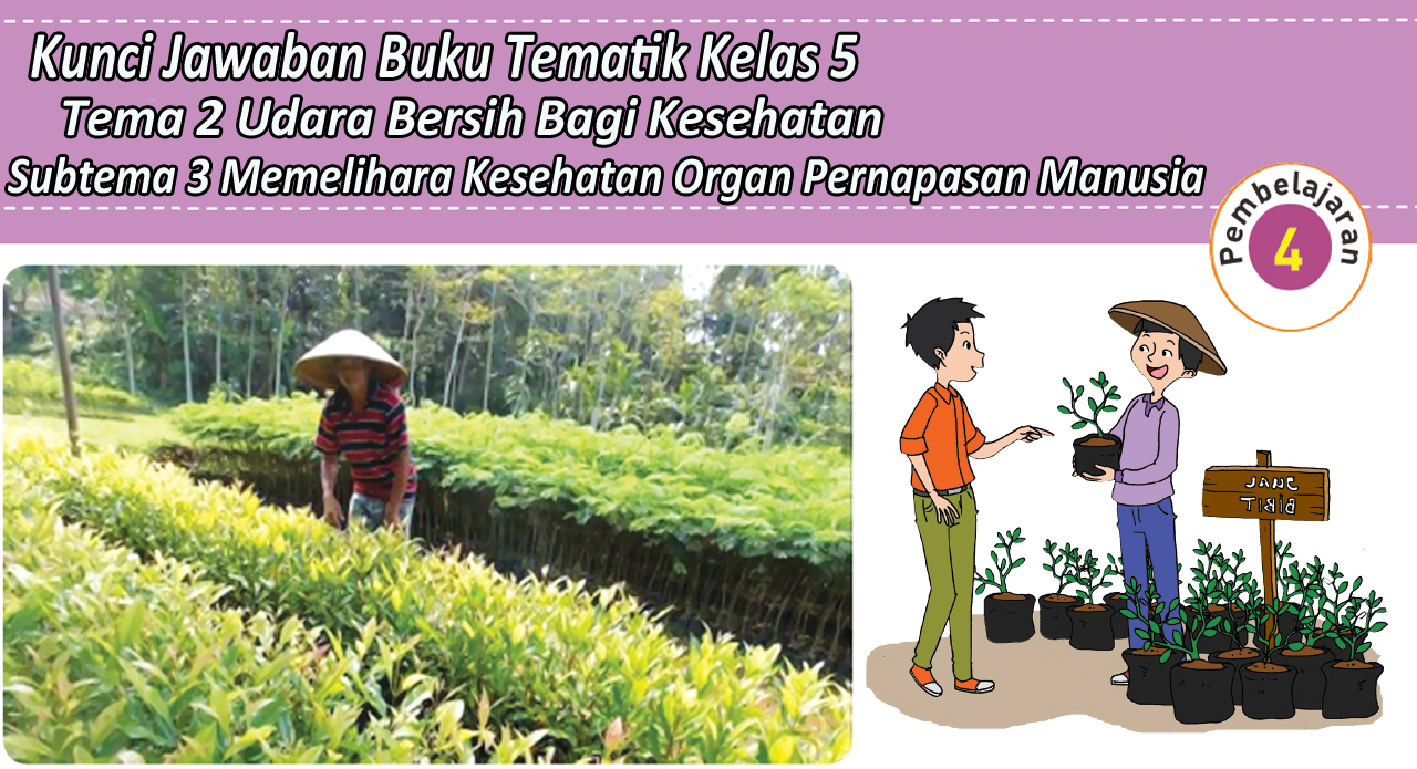 Detail Buku Tema 2 Kelas 5 Sd Nomer 46